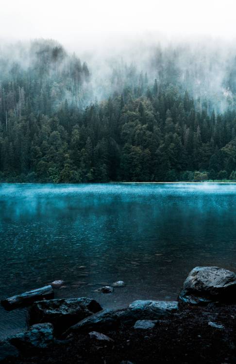 amazinglybeautifulphotography:  Moody scenes in the Black Forest,