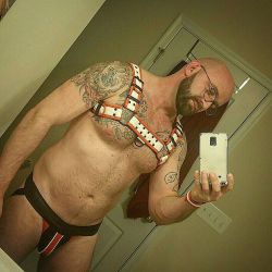 qurba78:  Just got my new harness for upcoming #MAL. Looking