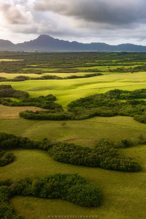 oneshotolive:  Flying over the inland of Kauai, Hawaii @ryanheffron