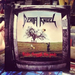 vinylfy:  I really wanted this: Death Angel - Frolic Through