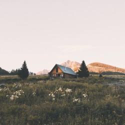 oldfarmhouse:running away to the wildflowers 🌿🌼