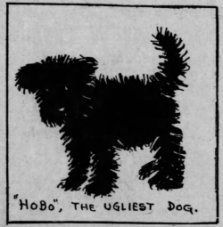 thestereotypebuster:  yesterdaysprint:   St. Louis Post-Dispatch,