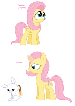 madame-spookyshy:  Fluttershy - All Pony Races by Pupster0071