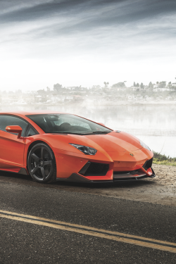 about-epic:  Aventador | AE