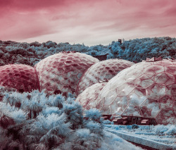 mexithot:  Eden Project by John Andreas Olsson on Flickr. 