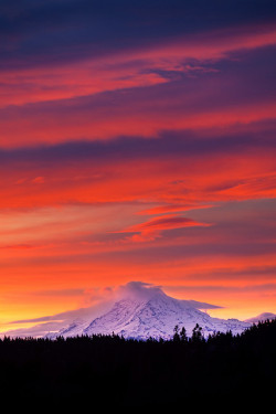 10bullets:  Mt. Rainier at Dawn by Mantis of Destiny on Flickr.