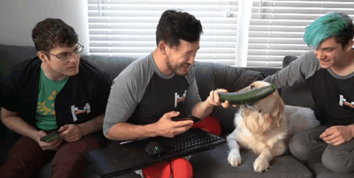 lum1natrix:  i love chica