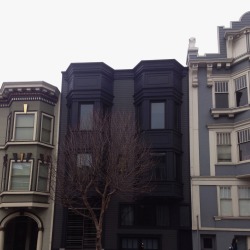 that house is going through the “emo phase”