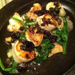 adamcbanks:  Scallops, dried cherry, spinach, cauliflower &