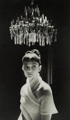 beingaudreyhepburn:  birdfox:  Audrey Hepburn photographed during