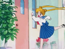 schwarzfee:  No wonder Usagi’s hair is never out of place, apparently