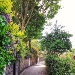 bowhurst:  ×  Just beautiful things   ×  Also on Instagram 