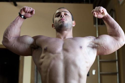 tumblr photo builddudebuild 0
