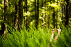 willhollis:  Model: Kyotocat Photographer: Will Hollis Taken at Lake Degray in Arkadelphia, Arkansas.