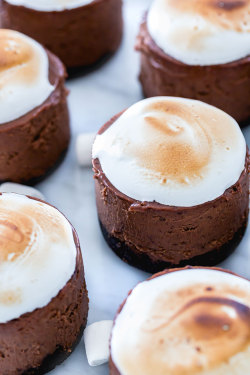 sweetoothgirl:    CHOCOLATE S’MORES CHEESECAKE BITES    @dommebadwolff23