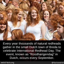 mindblowingfactz:  Every year thousands of natural redheads gather