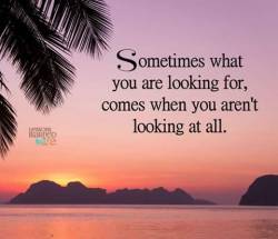 llamapup:  f-h-l-an-a-flutterby:  So very True!!!❤  hptals