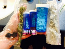 seyehgih:  7g’s of hash; shrooms; and weed; 40 hydromorphone