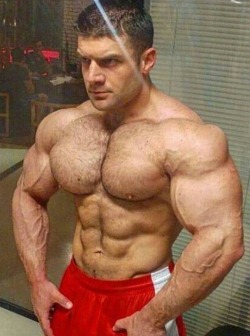 musclementoworship:  OMG the Big hairy pecs on this MoFo are