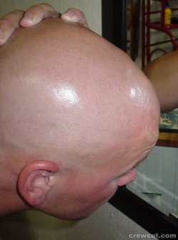 lixpex:  All that nasty “will of your own” has been wiped away, just like the hair on your head. Feel around up there, boy. It feels so clean and shiny and fresh, doesn’t it?  And as long as you keep your head shaved for Master, your brain will