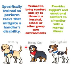 gooddogautismcompanions:  Ever wonder the difference between