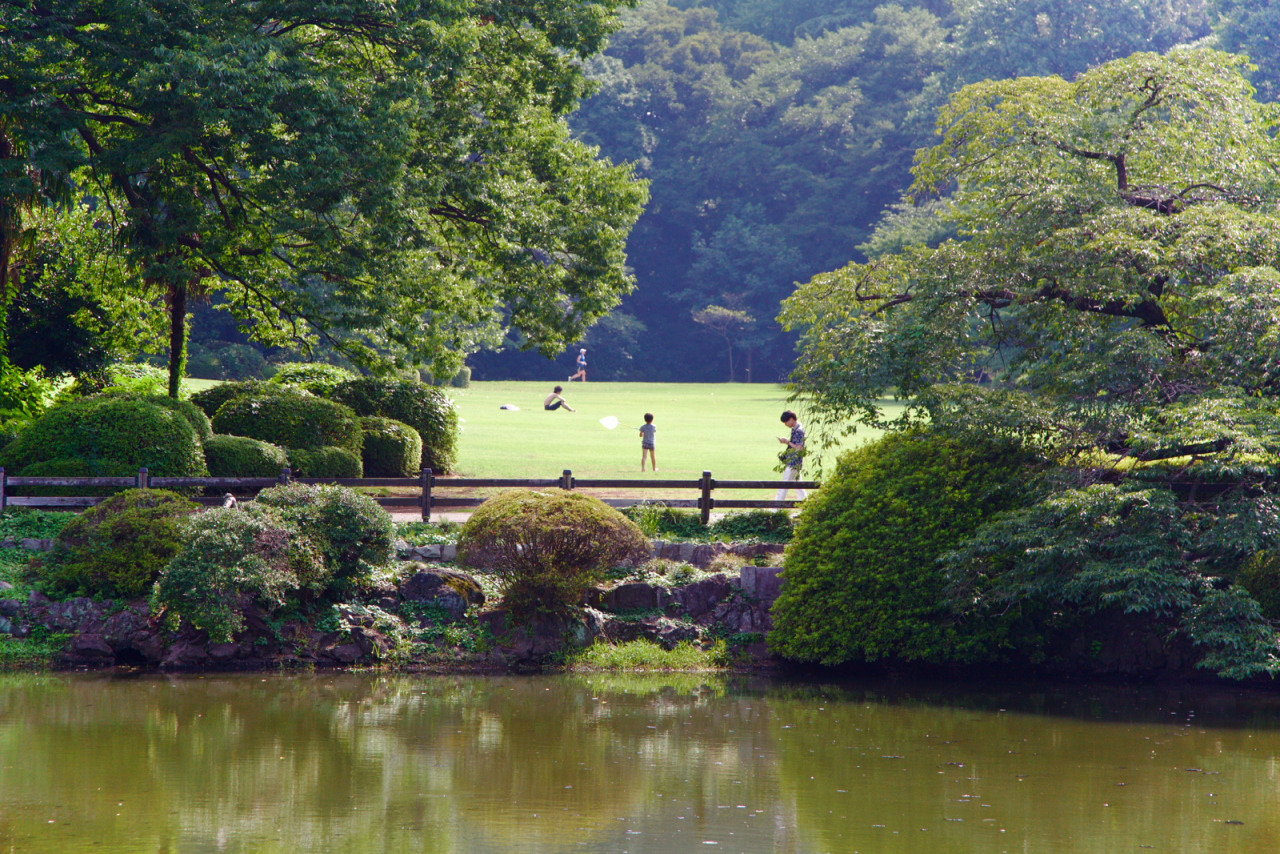 <p><b>Relax and take some photos in Shinjuku Gyoen.</b></p><p>My recent post in <a href="http://www.deepjapan.org/a/4126">Deep Japan</a>. Go by yourself or get a <a href="http://www.phototour.tokyo">photography lesson</a>.</p>