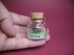 whatisaqualityblog:  fer1972:  Tiny Worlds in a Bottle  i’LL