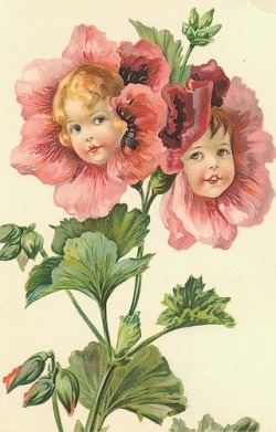 indigodreams:  vintage flower faces 