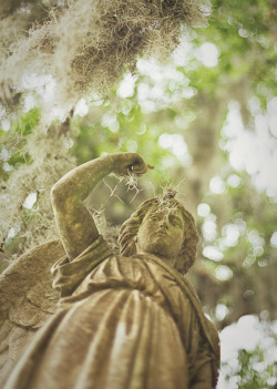 hueandeyephotography:  Angel Statue with Spanish Moss, Bonaventure
