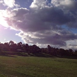 The view from my coffee spot :) #nature #beautiful #coffee ☕