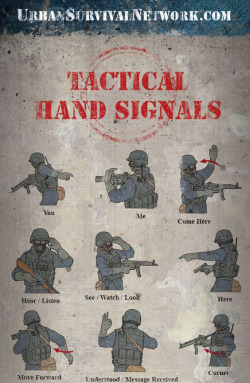 feiyueloplainshoes:  Tactical Hand Signals, always good to know.Feiyue