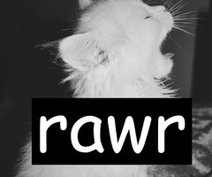 rawr en We Heart It. http://weheartit.com/entry/74482959/via/anto_moena