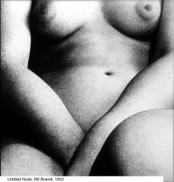 vivipiuomeno:  vivipiuomeno:   ph. untitled, nude 1953  also