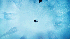 shorty-the-pimp:  novemberlenox:  the-targaryen:   W i n t e r   is coming   ♔  Is this a Frozen deleted scene?  Yes 