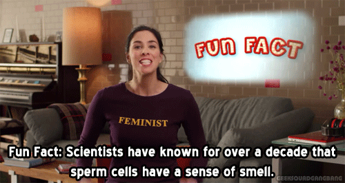 narputo:  geeksquadgangbang:  Sarah Silverman is visited by Jesus Christ  This is one of the best responses to men against abortion ever 