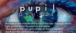 Origin of the word “pupil”: a little doll.Both meanings of