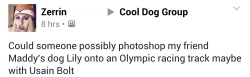 actionables:  This is why Cool Dog Group is the best group in