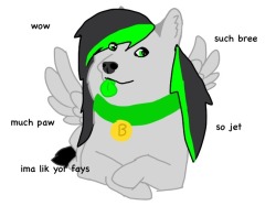 askbreejetpaw:  Bree is a pegadoge this.. is the most beautiful