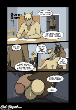 furry-gay-comics: ” Dorm Dom  “ by Meesh www.furaffinity.net/user/meesh/