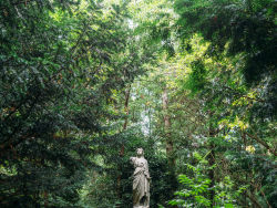 bittens:   	Abney Park Cemetery by aridleyphotography.com  