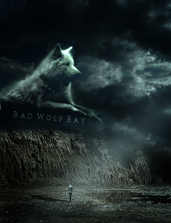 thirdstrikes:  Welcome to Bad Wolf Bay.url graphic: thebadddestwolf