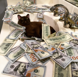 jeffuwu:  cashcats:  feeling myself   is this a new iteration