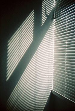 o-bloquy:  Daylight (by Devina Ramadiwinata) 