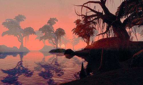 blighted-elf:The Elder Scrolls Morrowind scenery - Seyda Neen
