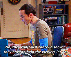 thepoptartlord:  Sheldon explaining fandom life 