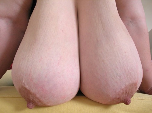 heavy-tits:  Saggy, massive pair of hanging milkbags. Those nipples are ready to spurt milk, Iâ€™m telling you.  lovely full and heavy hangers