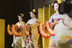 geisha-licious:  Kimishizu, Fukuya, Fumihana and geiko Yasuha
