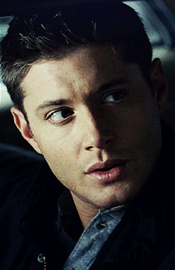 out-in-the-open:              Appreciation of Winchester
