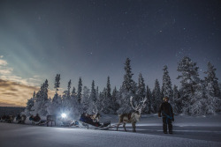 tiinatormanenphotography:  Lapland magic.   Jan 2016 Torasieppi,