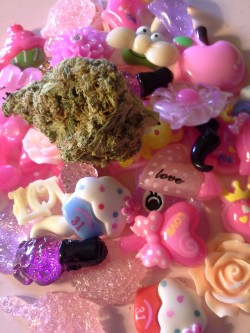 princesssquibby:  Kawaii nug. 